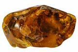 Detailed Fossil Beetle (Coleoptera) In Baltic Amber #109468-1